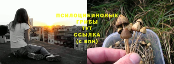 скорость Балахна