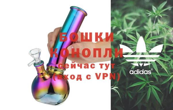 амф Елизово