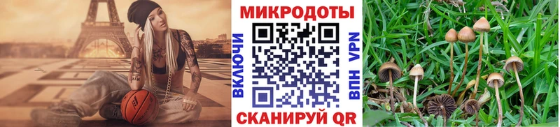 даркнет сайт  Куровское  мориарти формула  Галлюциногенные грибы MAGIC MUSHROOMS 